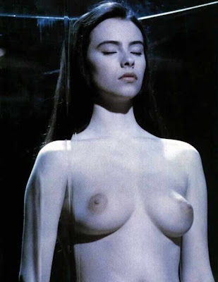 Restaurador Olex: Maravilhas da...